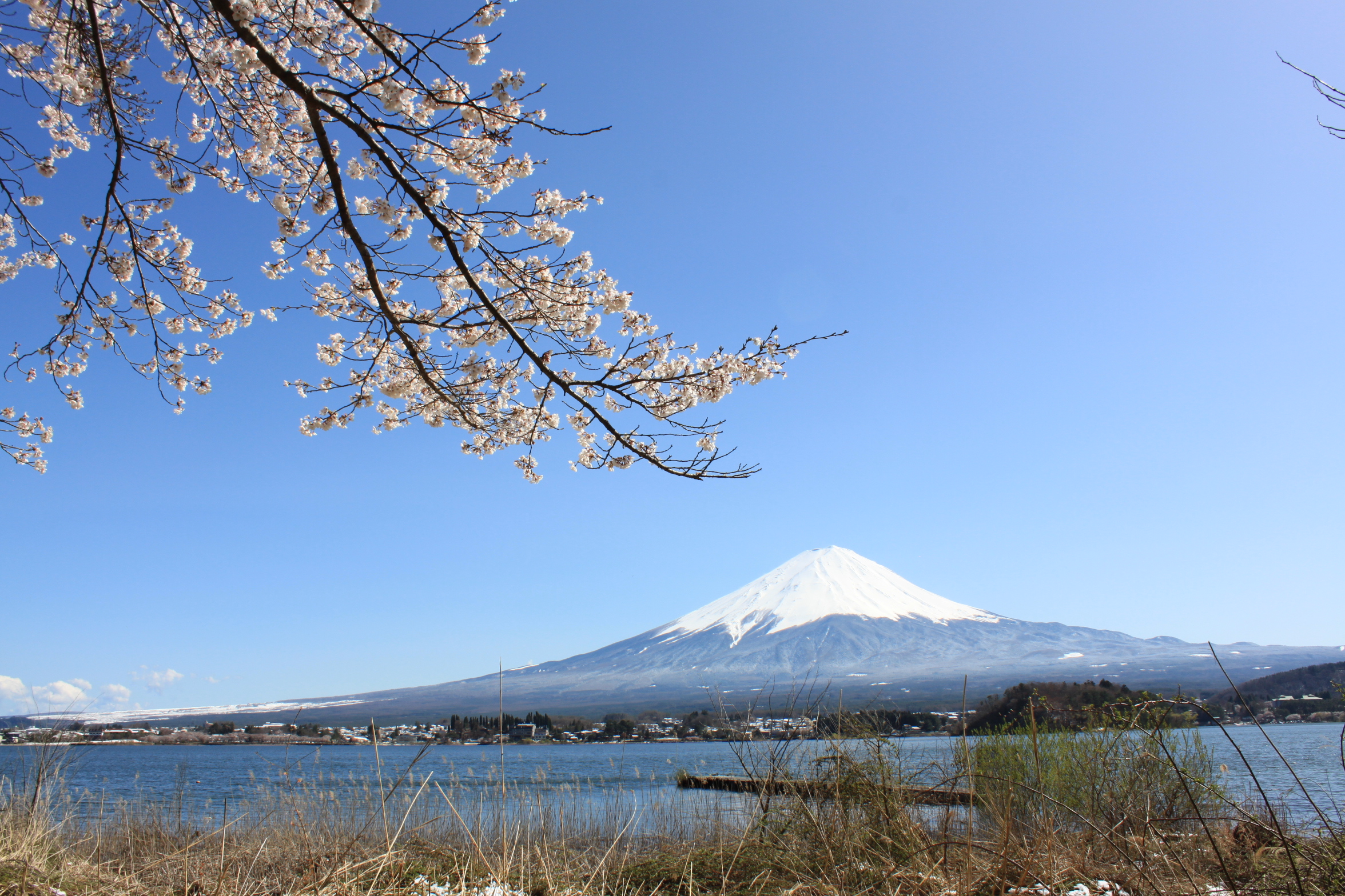 杓子山ゲートウェイキャンプ